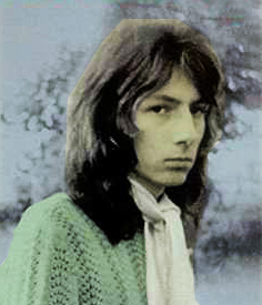 Steve Peregrin Took